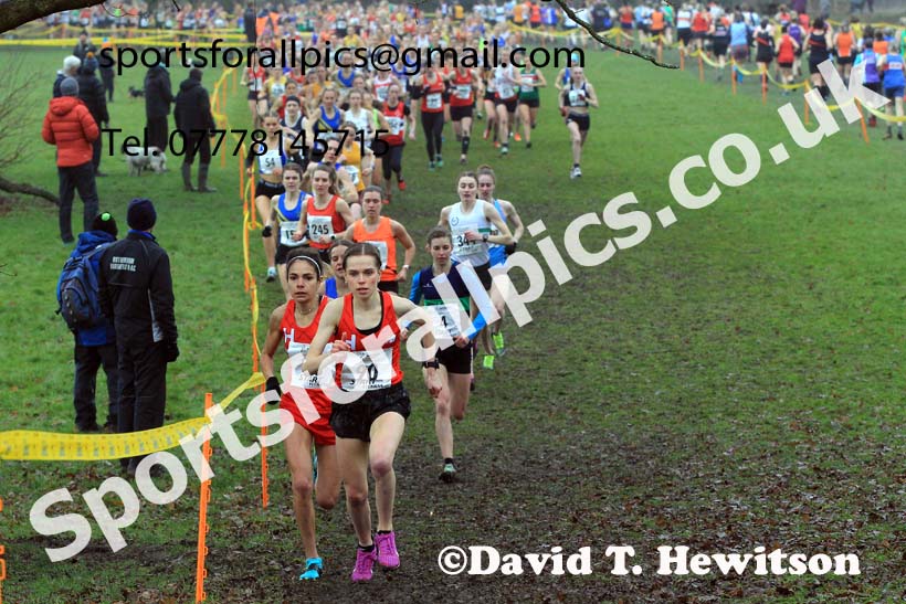 Senior Womens 2023 Northern Cross Country Champs., Witton Park, Blackburn. Photo: David T. Hewitson/Sports for All Pics